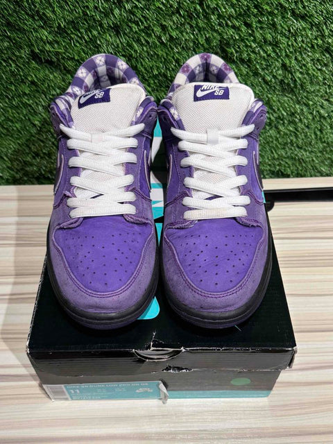 Nike SB Dunk Low Concepts Purple Lobster Sz 11