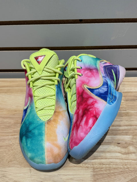 Nike LeBron 22 What the Monopoly Tie-Dye (Translucent Outsole) Sz 10