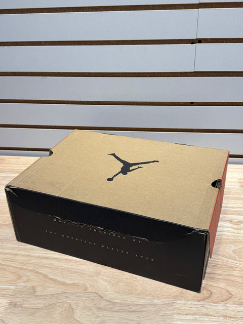 Jordan 12 Retro Playoffs (2022) Sz 11