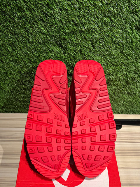 Nike Air Max 90 City Special Chicago Sz 9M