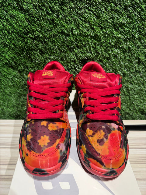 Nike SB Dunk Low The Wizard of Oz Poppy Field Sz 8