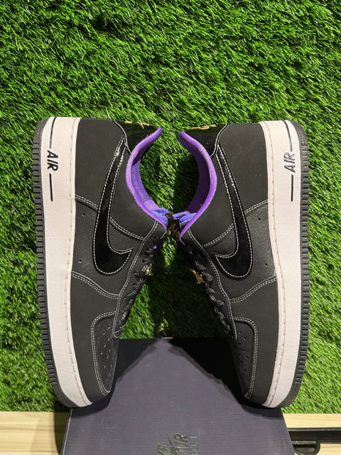 Nike Air Force 1 Low '07 LV8 World Champ Black Purple Sz 11M