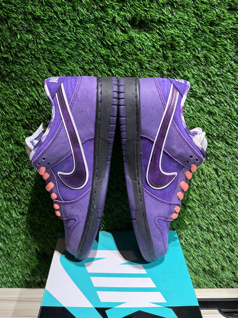 Nike SB Dunk Low Concepts Purple Lobster Sz 7.5M