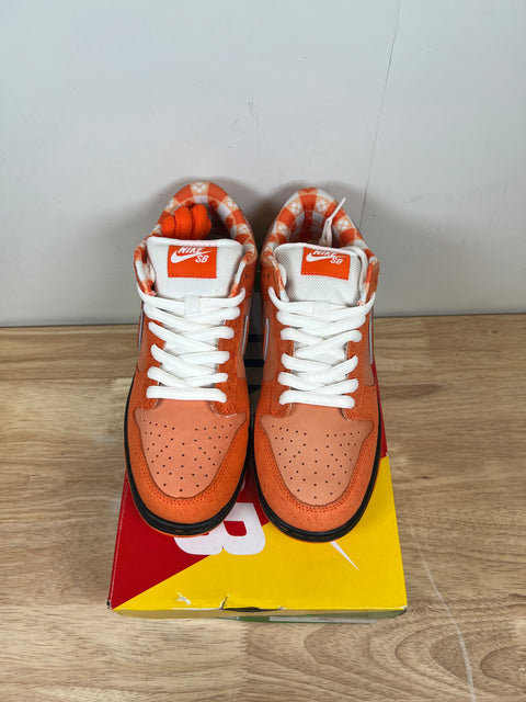 DS Orange Lobster Concepts Nike SB Dunk Low Sz 8