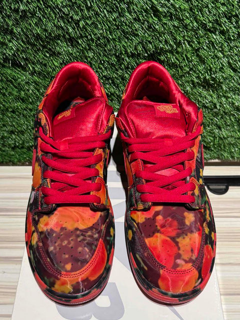 Nike SB Dunk Low The Wizard of Oz Poppy Field Sz 14M