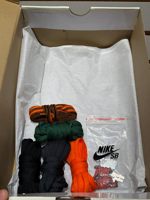 Nike SB Dunk Low There Skateboards Sz 9.5