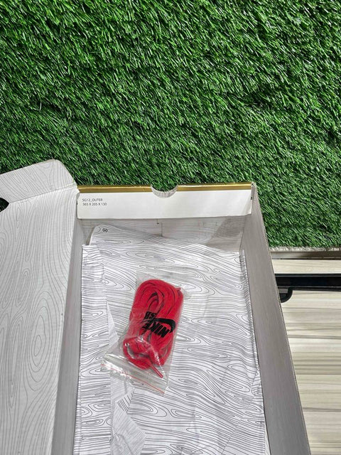 Nike SB Dunk Low Trail End Sz 11M