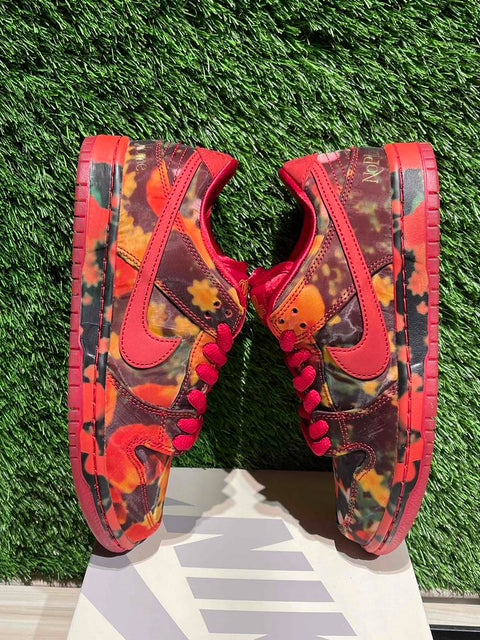 Nike SB Dunk Low The Wizard of Oz Poppy Field Sz 5.5M