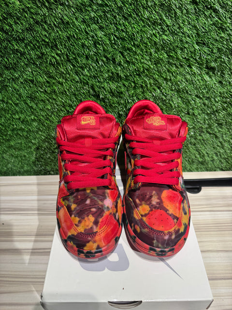Nike SB Dunk Low The Wizard of Oz Poppy Field Sz 7.5