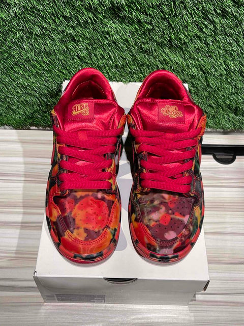 Nike SB Dunk Low The Wizard of Oz Poppy Field Sz 5.5M