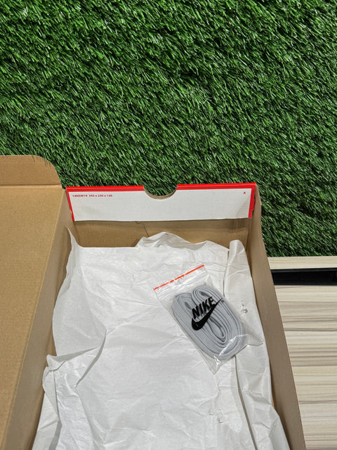 Nike Dunk High Premium Certified Fresh Particle Grey Sz 10.5