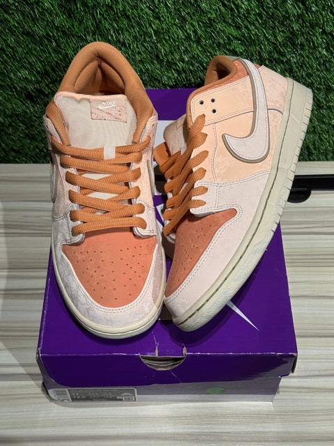 Nike SB Dunk Low Trocadéro Gardens Sz 11M