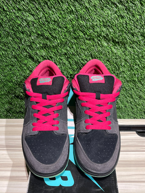 Nike SB Dunk Low Premier Northern Lights Sz 9M