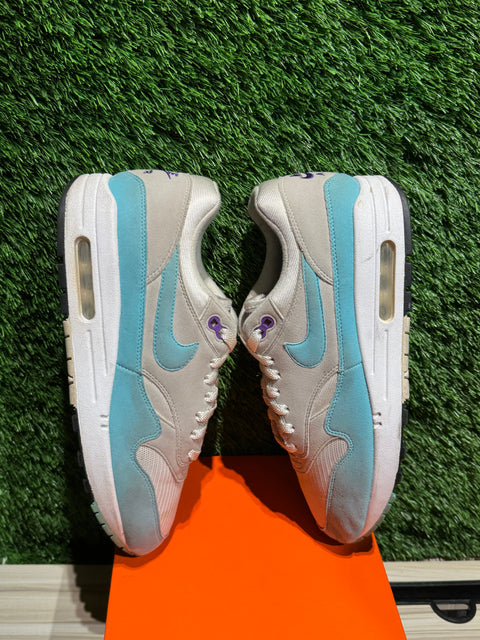 Nike Air Max 1 Anniversary Aqua Sz 8.5M