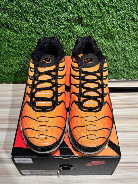 Nike Air Max Plus OG Pimento (2018) Sz 10.5M