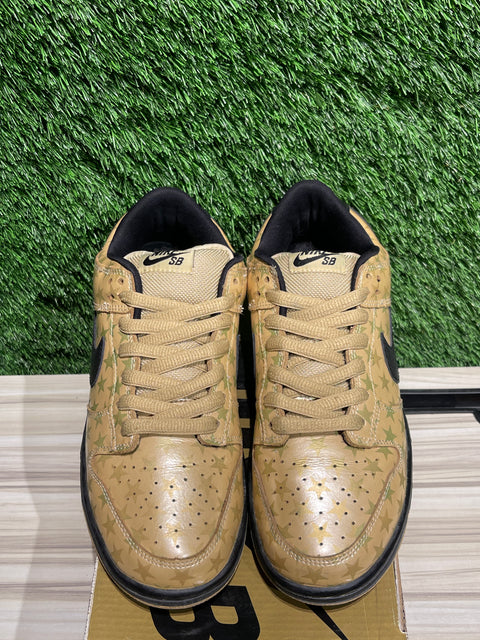 Nike SB Dunk Low Trickstar Sz 8M