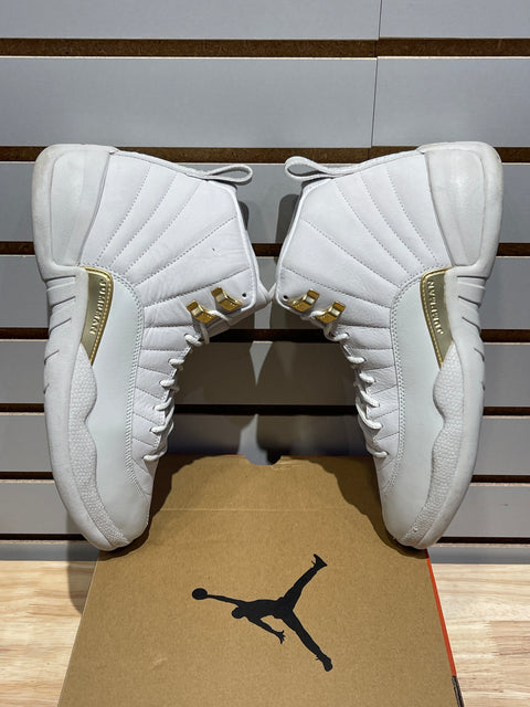 Jordan 12 Retro Phantom (Women's) Sz 10M