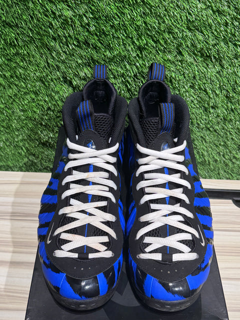 Nike Air Foamposite One Memphis Tigers Sz 11