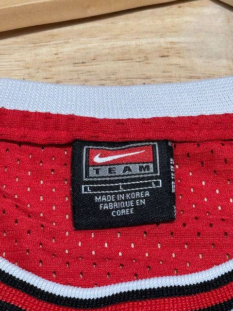 Vintage Chicago Bulls Michael Jordan #23 Jersey Sz L