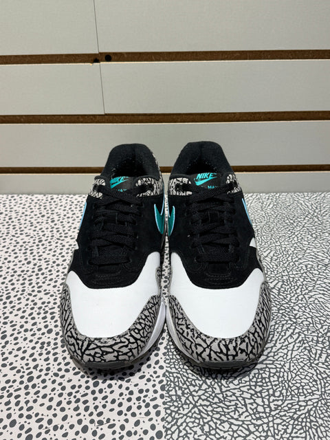 Jordan 3 Retro & Nike Air Max 1 atmos Pack Sz 9