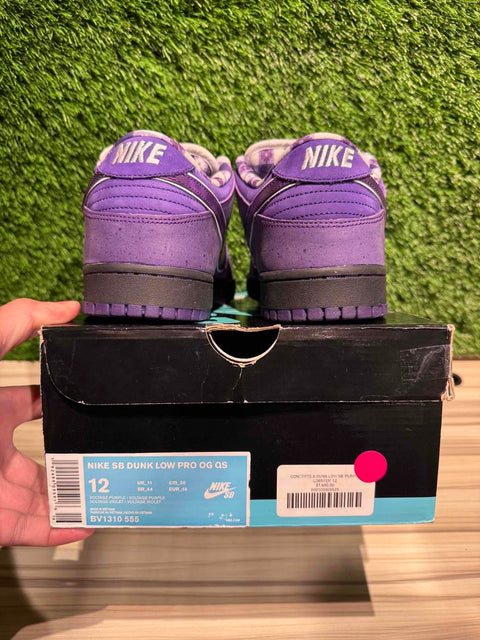 Nike SB Dunk Low Concepts Purple Lobster Sz 12M
