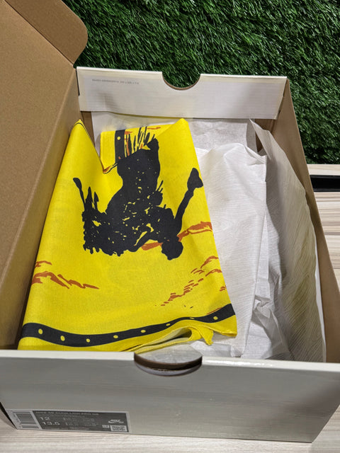 Nike SB Dunk Low Rodeo Tourmaline Sz 12