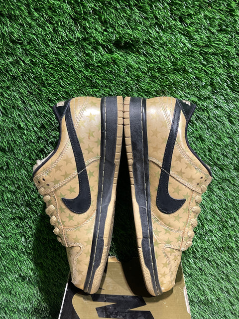 Nike SB Dunk Low Trickstar Sz 8M