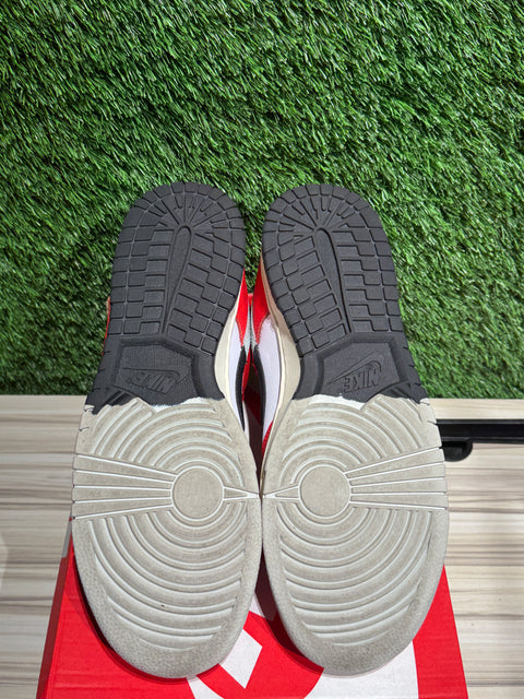 Nike Dunk Low Chicago Split Sz 9.5