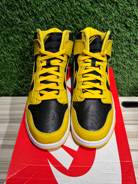 Nike Dunk High Iowa (2020) Sz 10