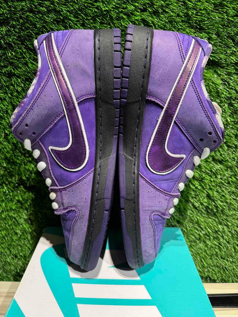 Nike SB Dunk Low Concepts Purple Lobster Sz 11