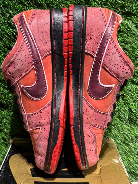 Nike SB Dunk Low Concepts Red Lobster Sz 10.5