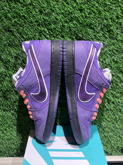 Nike SB Dunk Low Concepts Purple Lobster Sz 7.5M