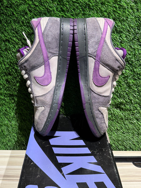 Nike SB Dunk Low Purple Pigeon Sz 10.5M