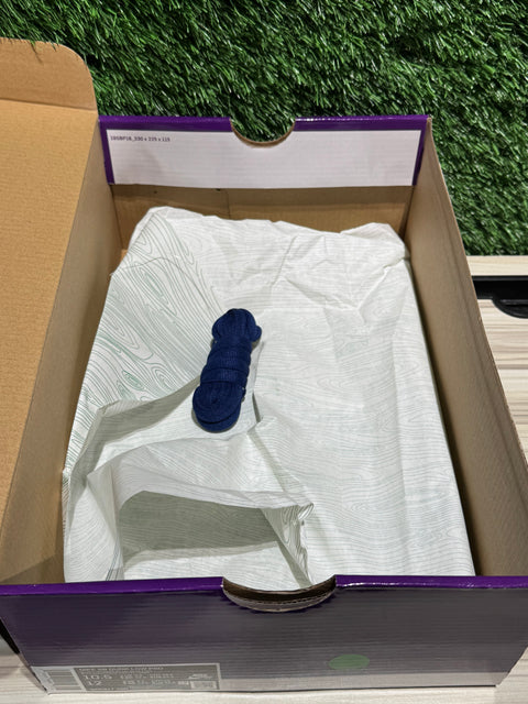 Nike SB Dunk Low Pro Blue Fury Sz 10.5M