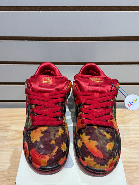 Nike SB Dunk Low The Wizard of Oz Poppy Field Sz 7