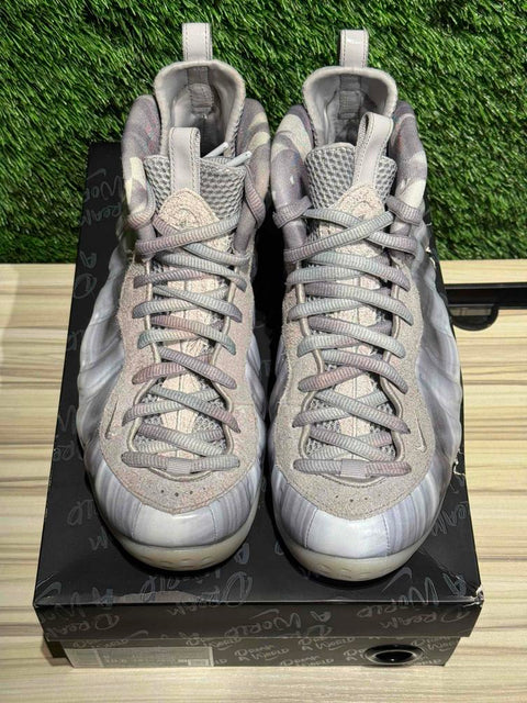 Nike Air Foamposite One Dream A World Grey Sz 9...
