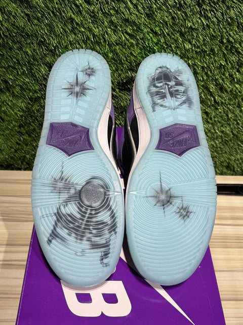 Nike SB Dunk Low Hayley Wilson Sz 12