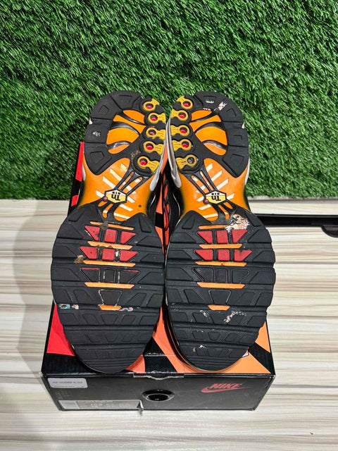 Nike Air Max Plus OG Pimento (2018) Sz 10.5M