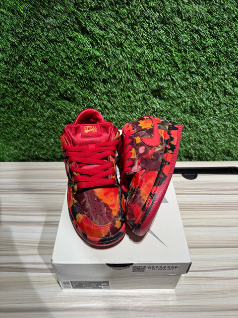 Nike SB Dunk Low The Wizard of Oz Poppy Field Sz 6.5M