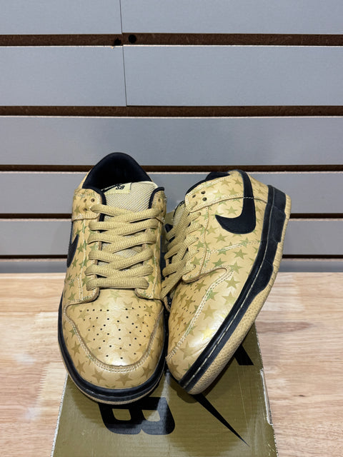 Nike SB Dunk Low Trickstar Sz 8