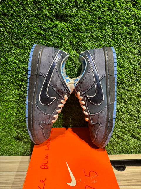 Nike SB Dunk Low Concepts Blue Lobster Sz 7.5M