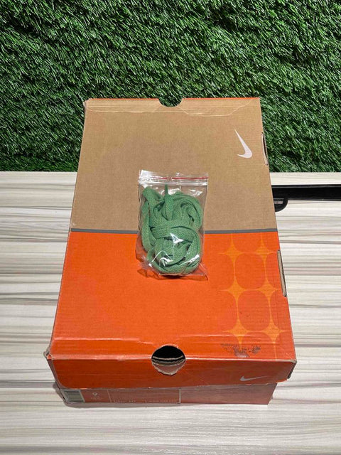 Nike Dunk Low KicksHawaii Aloha Sz 9M,