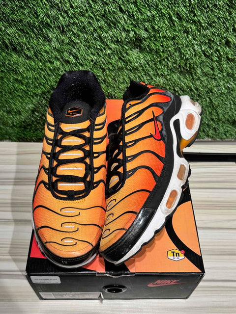 Nike Air Max Plus OG Pimento (2018) Sz 10.5M