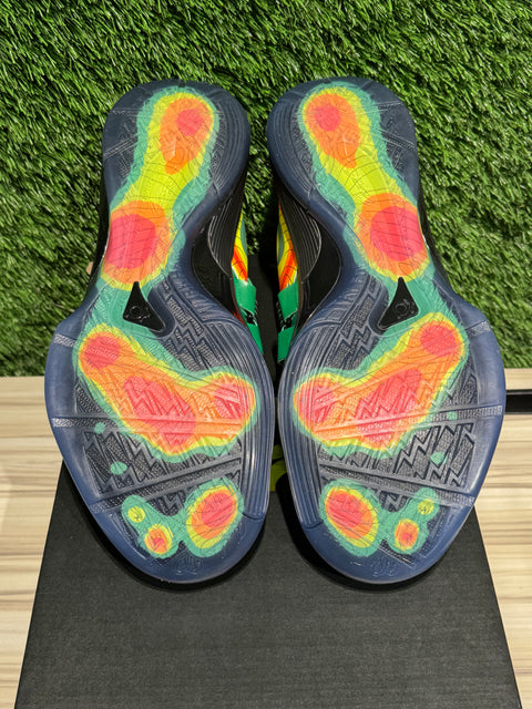 Nike KD 4 Weatherman (2024) Sz 10M