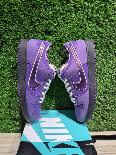Nike SB Dunk Low Concepts Purple Lobster Sz 12M