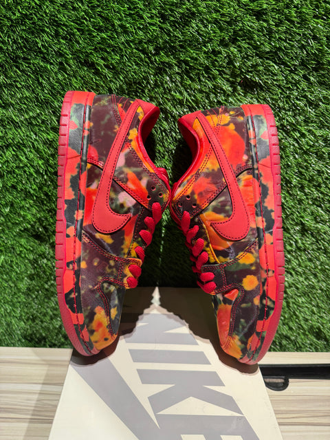 Nike SB Dunk Low The Wizard of Oz Poppy Field Sz 8