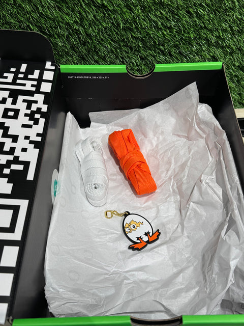 Nike Air Force 1 Low Ducks of a Feather University of Oregon Egg or Duck Sz 9.5