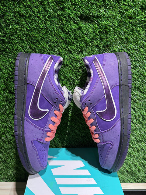 Nike SB Dunk Low Concepts Purple Lobster Sz 7.5M