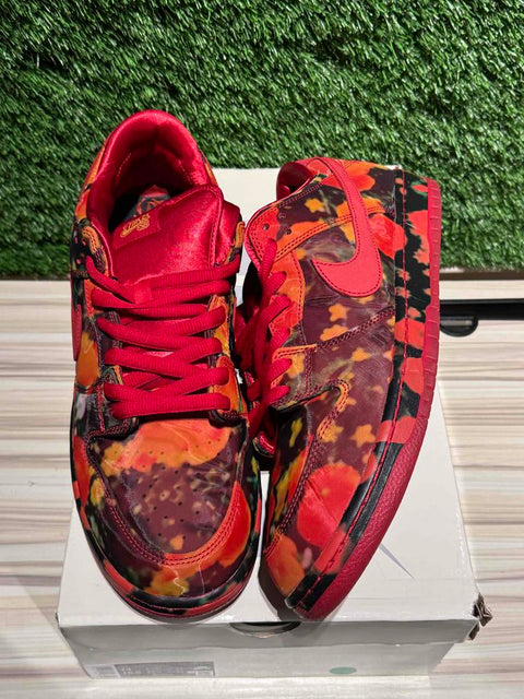 Nike SB Dunk Low The Wizard of Oz Poppy Field Sz 14M
