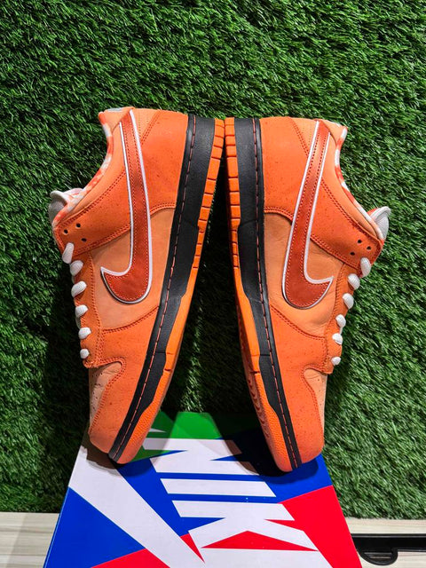 Nike SB Dunk Low Concepts Orange Lobster (Special Box) Sz 13M,